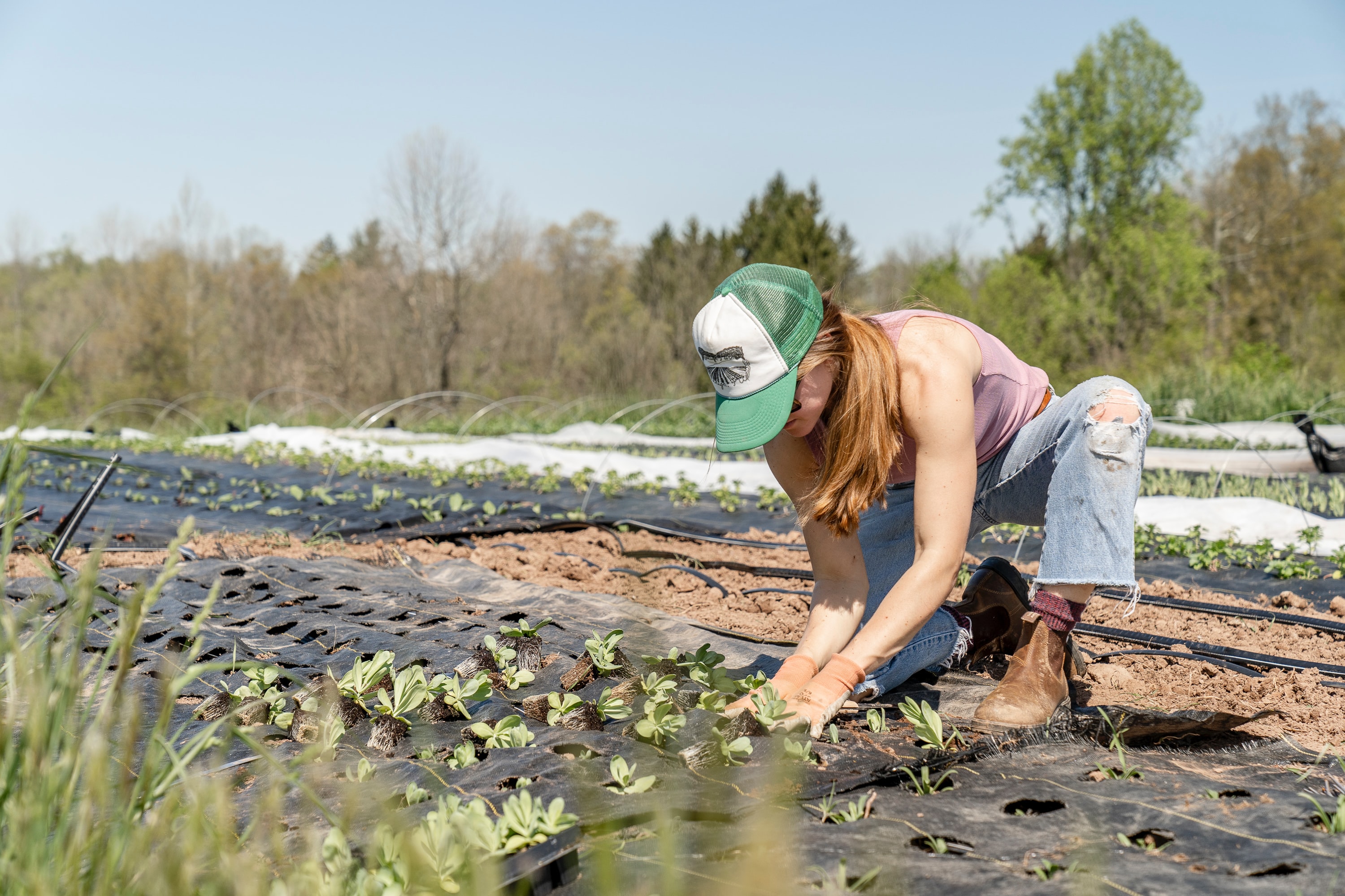 What Retailers Need to Know About Helium Blockchain for Agriculture